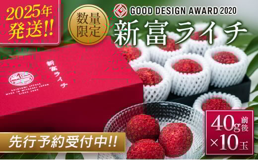 ［先行予約］希少！国産＜新富ライチ＞40g前後×10玉※2024年出荷