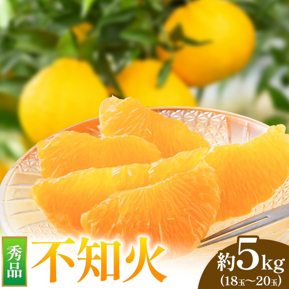 【ふるさと納税】＼4月20日まで／秀品 不知火 約5kg 18玉～20玉 都呂々みかん生産者グループ《3月中旬-5月中旬頃出荷》熊本県 苓北町 みかん 果物 フルーツ しらぬい
