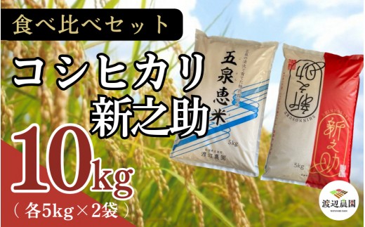 
                  【令和8年産米先行予約】 渡辺農園のお米食べ比べセット（特別栽培米コシヒカリ5kg 新之助5kg） 新潟県 五泉市 渡辺農園
                
