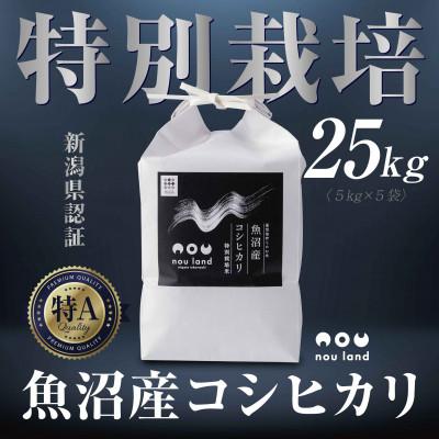 ふるさと納税 十日町市 【令和7年産 予約】 農家直送 魚沼産 コシヒカリ 特別栽培米 25kg 十日町市 のうランド