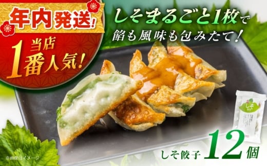 【12月25日(木)ご入金確認分まで年内発送】【1パック】餃子屋ヒロの 人気のしそ餃子【餃子屋ヒロ】国産 肉 餃子 ぎょうざ ギョーザ ギョウザ 小分け 人気 餃子 おすすめ 餃子 冷凍 おかず おつまみ 名店 ご当地グルメ 神奈川県 開成町 [BDAS003-1]