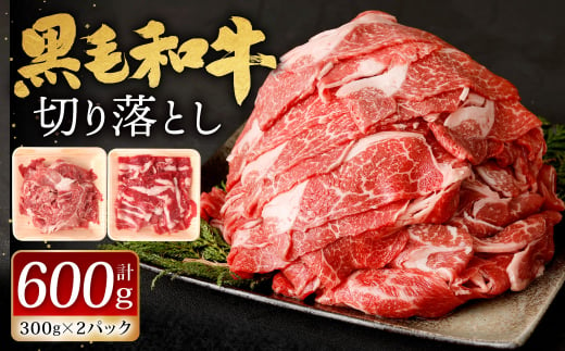 九州産 黒毛和牛 切り落とし 600g (300g×2パック)【2025年3月発送】お肉 牛肉 国産牛 和牛 冷凍 小分け