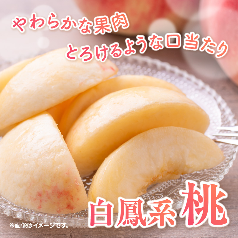 【2025年5月下旬〜6月発送】九州・福岡フルーツ王国八女から直送！桃 約1.4kg＜配送不可：北海道・沖縄・離島＞ 桃 もも モモ フルーツ くだもの 果物 白鳳 1.4kg 産地直送 ジューシー 