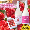 【ふるさと納税】【先行予約】ヨーグルトあまおう＆ヨーグルト梅酒 各720ml×あまおうギフト箱入り （12-15粒） 【2024年12月上旬以降順次発送】 糸島市 / 南国フルーツ株式会社 [AIK020] 18000円