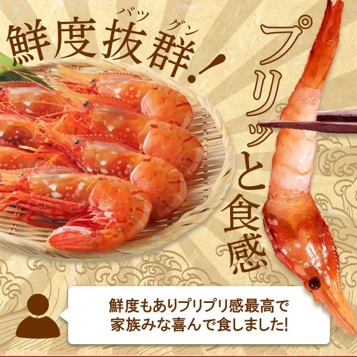 超速リキッド凍結でドリップゼロ！北海道羽幌産生鮮ぼたんえび 600g（200g×3パック）【0311801】