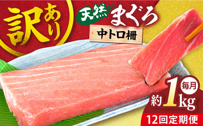 
            【全12回定期便】【訳あり】天然 まぐろ 中トロ（約1kg）マグロ 定期 鮪 まぐろ 中とろ 刺身  定期便【横須賀商工会議所 おもてなしギフト事務局（本まぐろ直売所）】 [AKAK052]
          