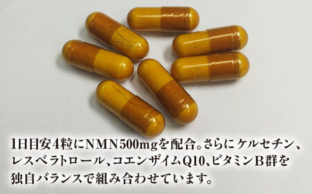 NMN 15000 Premium Blend サプリ サプリメント 高純度NMN 岐阜市 / ファーマクラフト[ANJQ002]