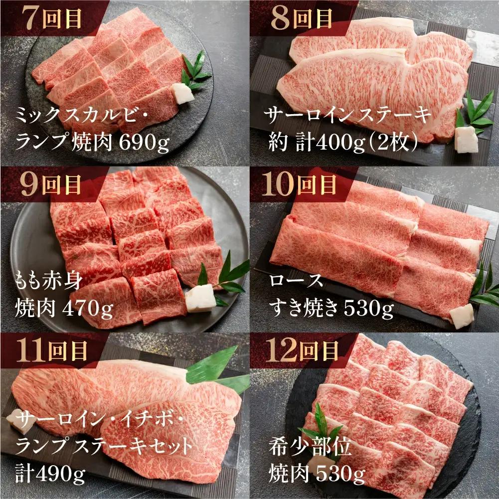 【定期便 12回】飛騨牛  (ステーキ / 焼き肉 / すき焼き /希少部位 赤身 / 霜降り) 【11-O】