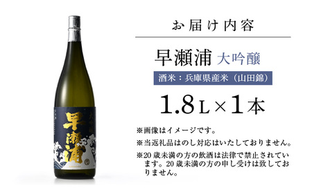 【お中元】 入手困難【早瀬浦】大吟醸 1800ml × 1本【日本酒 地酒 福井 美浜 早瀬 フルーティ 男酒 硬水 ミネラル 希少 ご褒美 家飲み 就職祝い 転職祝い ハレの日 敬老の日 プレゼント