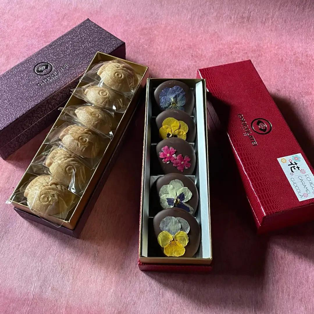しょこら亭 ECHIGOキャラメル花ショコラ＆鯛チョコセット お菓子 菓子 スイーツ 贈答 1Z64015