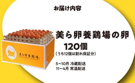 卵の黄身が掴めるほどの新鮮さ 美ら卵養鶏場の卵 120個【順次配送】