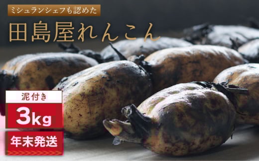【年末発送】【先行予約】 れんこん（泥付き） 3kg【田島屋れんこん】/農家直送 レンコン 蓮根 佐賀県産 白石町産 野菜 根菜 高品質 九州 佐賀県 白石町 [IAV003]