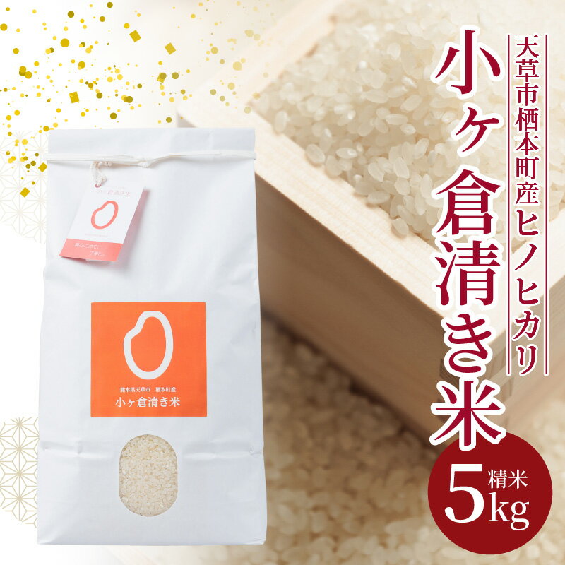 【ふるさと納税】米 ヒノヒカリ 小ヶ倉清き米 5kg 精米 白米 ごはん おにぎり おべんとう 米作り 冷めても弾力 甘味 熊本県 天草 栖本町 お取り寄せ 食品 九州 故郷の味 常温 送料無料