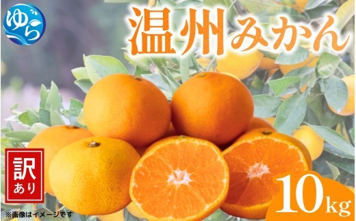 （訳あり）温州みかん 10kg / みかん ミカン 和歌山県 柑橘  甘い 蜜柑 フルーツ 果物 くだもの 食品  産地直送 由良町 ご家庭用 温州 温州ミカン ※12月上旬～12月中旬頃に順次発送予定【kwgc004-c-10-dec】
