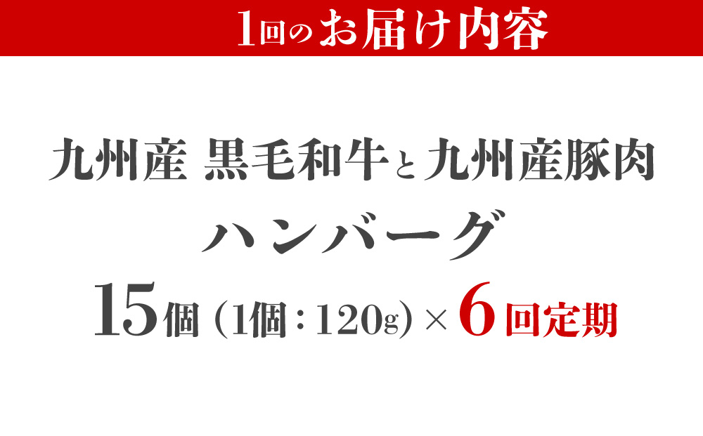 ＜定期便・全6回＞九州産黒毛和牛と九州産豚肉 ハンバーグ 15個セット | 国産牛 国産豚 肉汁 ジューシー 九州産 個包装 小分け 無添加 冷凍 惣菜 おかず 夕食 時短 簡単調理 送料無料 福岡県 那珂川市