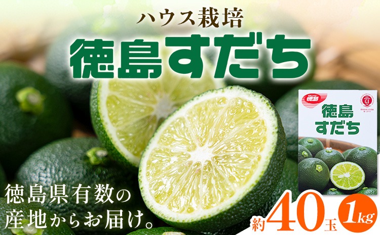 佐那河内名産 ハウス栽培 すだち 40玉 1kg ハウスすだち スダチ 一般財団法人さなごうち《6月中旬-9月上旬頃出荷》徳島県 佐那河内村 送料無料 スダチ ハウス 魚 豆腐 冷奴 焼き魚 天ぷら 刺身 徳島県産---sanagouchi_hss_1_1kg---
