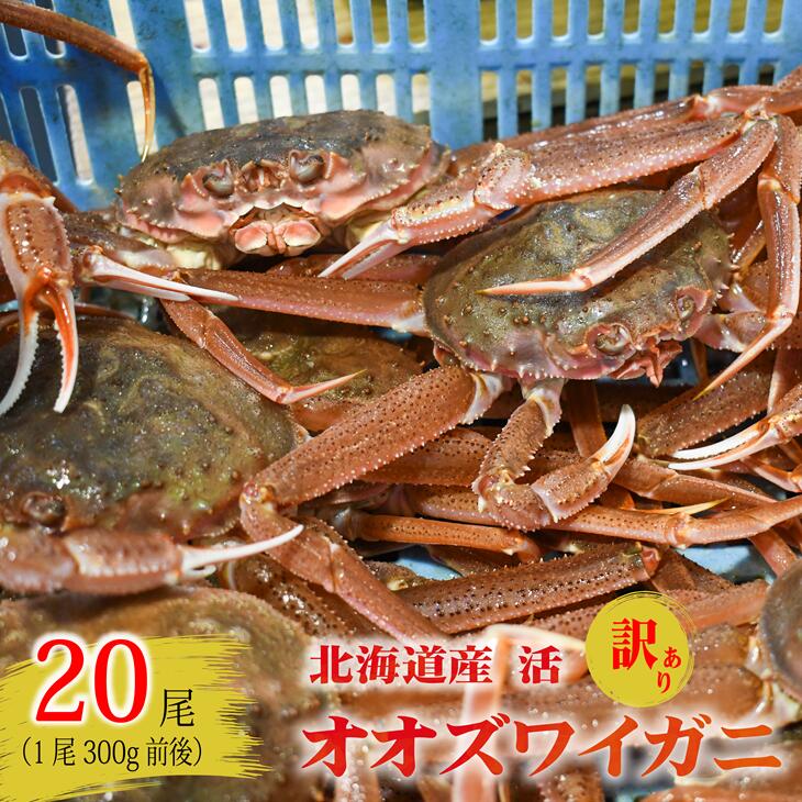 【ふるさと納税】訳あり 活オオズワイガニ300g前後×20尾[02-1567]※離島・沖縄県不可※ 北海道 浦河 ふるさと納税 オオズワイガニ カニ 活 漁協直送 冷蔵発送 送料無料