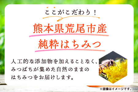 はぜはちみつ 400g 蜂蜜 国産 熊本県荒尾市産 純粋蜂蜜 木原養蜂園《30日以内に順次出荷(土日祝除く)》