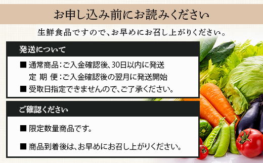 【定期便3回】熊本の大地の恵み 旬の こだわり野菜詰め合わせセット 8〜12品 （3〜4名様向け）3回配送 獲れたて 新鮮 野菜 セット 詰め合わせ 詰合せ 定期便 産地 直送 国産 季節 旬野菜 家