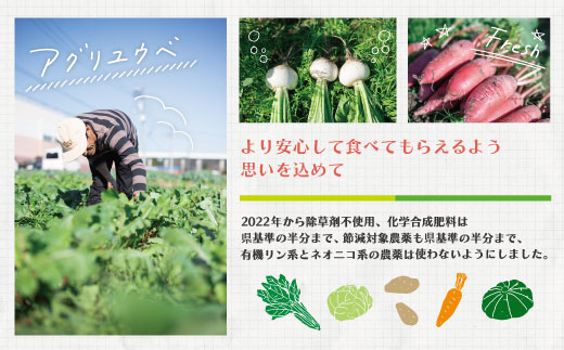 【 2回定期便 早期受付 数量限定 】 とれたて 新鮮 農家直送 アグリユウベの冬野菜セット (小) 国産 野菜セット 野菜便 やさい 野菜 冬野菜 産地直送 国産 旬 高知県 四万十市 四万十 しま
