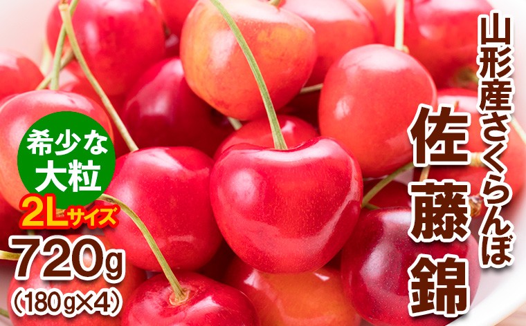 
                  さくらんぼ 佐藤錦”希少な大粒” 2Lサイズ 720g(180g×4パック) 【令和9年産先行予約】FS25-569 くだもの 果物 フルーツ 山形 山形県 山形市 2026年産
                