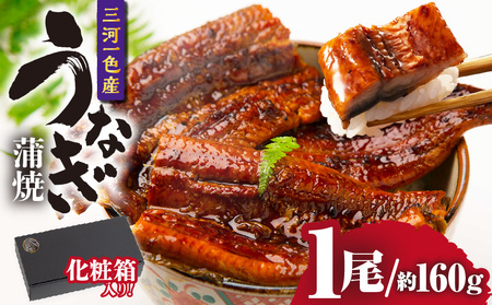 三河一色産うなぎ蒲焼 １尾（約160g）化粧箱入・O060