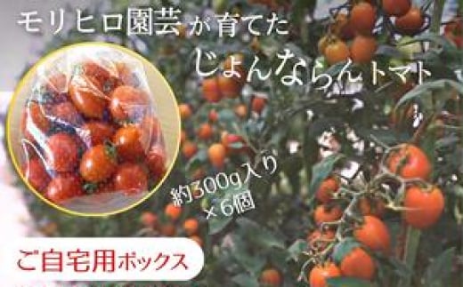 
モリヒロ園芸が育てたじょんならんトマト（ご自宅用ボックス）
