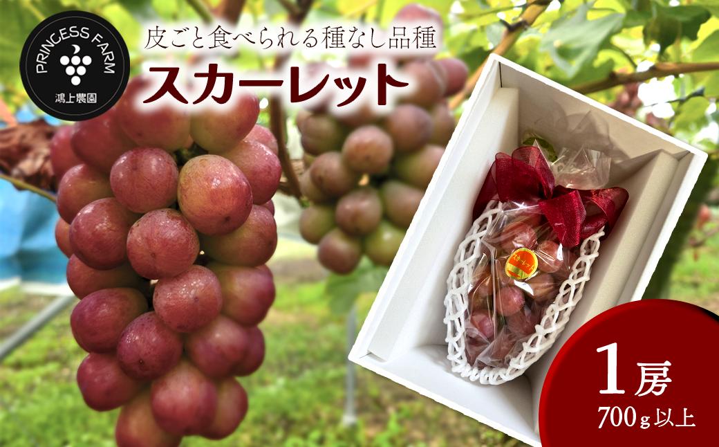 
            【先行予約】種なし赤ぶどう スカーレット（1房・700g以上）　2025年8月下旬～10月発送予定　ぶどう 葡萄 スカーレット_【オンライン決済限定】
          