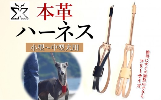 小型～中型犬対応スライドコントロールハーネス【ブラック】