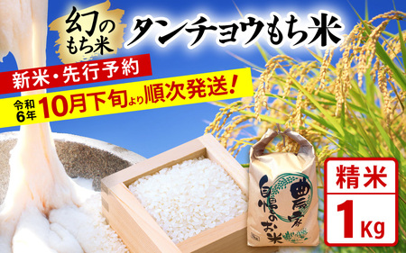 【新米・先行予約】お試し 幻のもち米 タンチョウもち米 1kg（精米）令和6年産【お米 米 こめ コメ kome 福井県産 モチ たんちょう おこわ 餅 おもち 4000円 常温 年末 赤飯 餅つき】【令和6年10月下旬より順次発送】 [e35-a019]