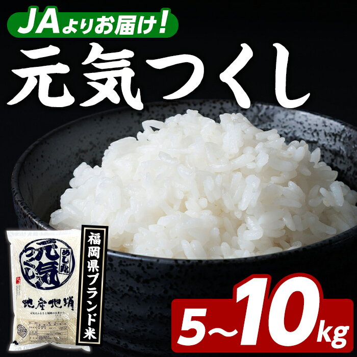 【ふるさと納税】＜内容量が選べる！＞福岡県ブランド米 元気つくし (5～10kg) お米 米 コメ おこめ こめ げんきつくし 白米 ごはん ご飯 福岡県産 ブランド米 常温 常温保存 おにぎり おむすび お弁当 【農産物直売所ほたるの里】