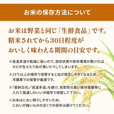 ふるさと納税 境町 期間限定!! 【最短2日後〜7日以内発送】【令和7年産/白米】 こしひかり 5kg  茨城県産 米 |  | 02