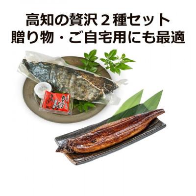 ふるさと納税 高知市 「土佐の海・川」土佐和紙包装うなぎ蒲焼と鰹たたき 計約440g【AM009】 |  | 03