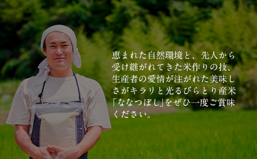 【定期便】北海道で１番人気！「ニシパの恋人」ななつぼし10㎏ 年×12回 BRTH018