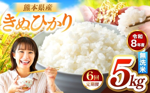 【定期便6回】R8年産 無洗米 きぬひかり 5kg | お米 米 こめ おこめ 精米 キヌヒカリ 5キロ 国産 国産米 くまもと 熊本 熊本県 玉名市 玉名