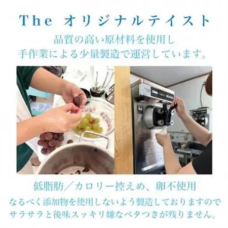 さのまるフローズンヨーグルト〈 とちおとめ・ヨーグルト・バニラ 〉 計11個セット【配送不可地域：離島】【1461416】