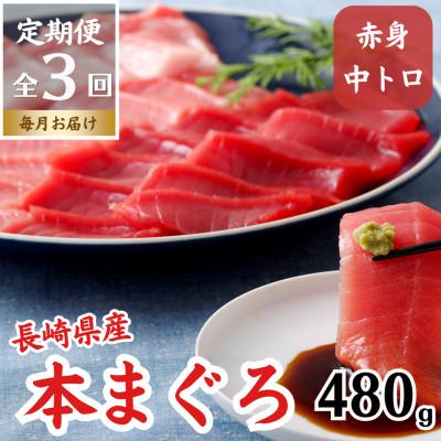 ふるさと納税 佐世保市 【毎月定期便】長崎県産本まぐろ(中トロ・赤身)約480g全3回