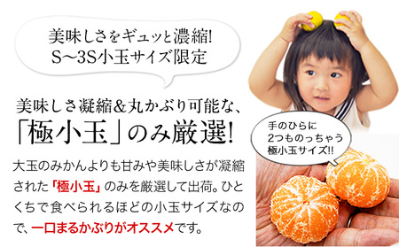 訳あり みかん ひとくちもぎたてみかん 約 3kg (3kg×1箱) S-3Sサイズ 訳あり ご家庭用 熊本県産 （荒尾市産含む） 期間限定 フルーツ 果物 旬 冬 柑橘 小玉 みかん《10月下旬-1