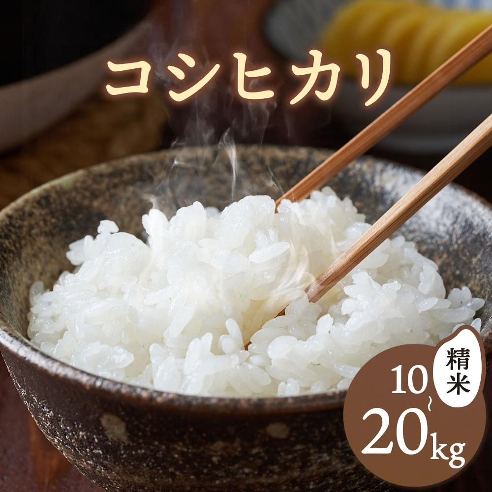 【ふるさと納税】鳥取県産 コシヒカリ 令和7年度産 精米済 選べる 10kg or 20kgさんチョク《30日以内に出荷予定(土日祝除く)》鳥取県 八頭町 米 お米 白米 ご飯