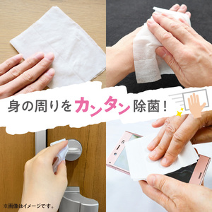 LD-104 リファイン アルコール除菌 ウエットティッシュ(60枚入り×3P)×16セット 合計48パック×3か月