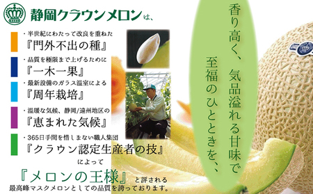 メロン 定期便 6ヶ月 山等級 1玉 フルーツ 果物 メロン
