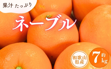 ネーブル 約7kg/サイズおまかせ　※2025年1月中旬～2025年2月上旬頃に順次発送予定(お届け日指定不可)　紀伊国屋文左衛門本舗　【kstb430A】