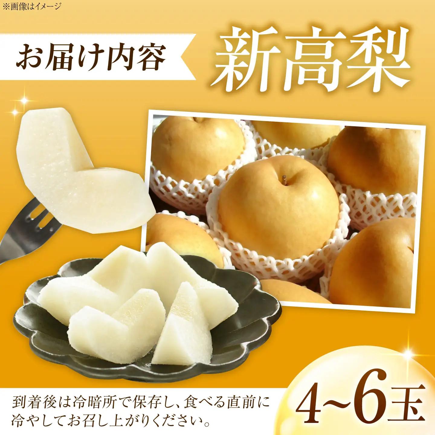 新高梨 （にいたかなし） 4～6玉 〈2026年9月～発送〉 ／ フルーツ 果物 くだもの 食品 人気 おすすめ 梨 なし 新高梨 にいたかなし 和梨 甘い 高糖度 ／　株式会社内子フレッシュパークか