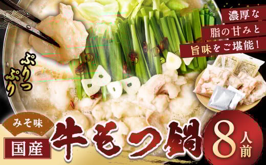【11月発送】 国産牛もつ鍋 8人前 ちゃんぽん・濃縮スープ付（みそ味） もつ ホルモン 鍋 お鍋 セット 冷凍 岡垣町