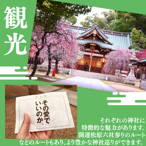 マッキーグッズセット ぬいぐるみ 一緒におでかけポーチ ご当地キャラ