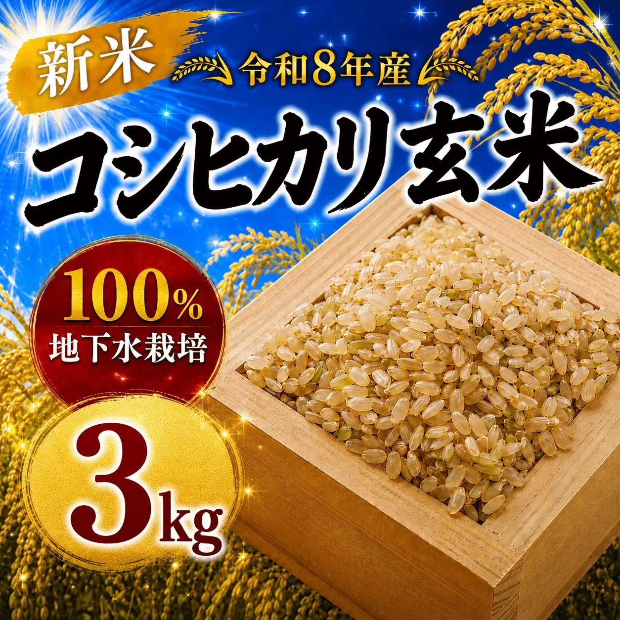 玄米 令和8年度産 コシヒカリ 3kg [A-mry001]