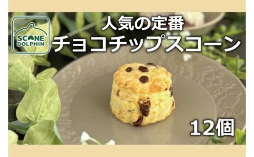 
                  チョコチップスコーン 12個【人気 しっとり 冷凍 冷凍スコーン ミルクチョコレート チョコレート 本場 イギリス 焼き菓子 スイーツ 水戸市 水戸 茨城県】（AR-17）
                