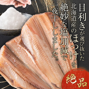 絶品脂ののった 北海道産 開きほっけ 約1kg (約500g×2尾セット) | ほっけ_01700