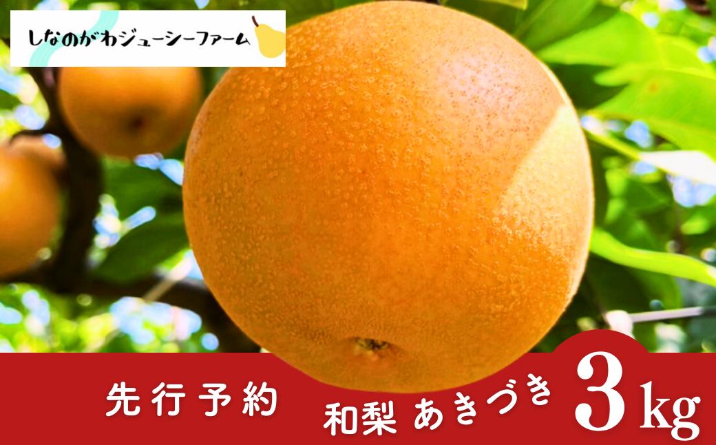 
            先行予約 和梨 あきづき 約3kg 令和8年度 新潟県 三条市産 梨 [しなのがわジューシーファーム]【010S486】
          
