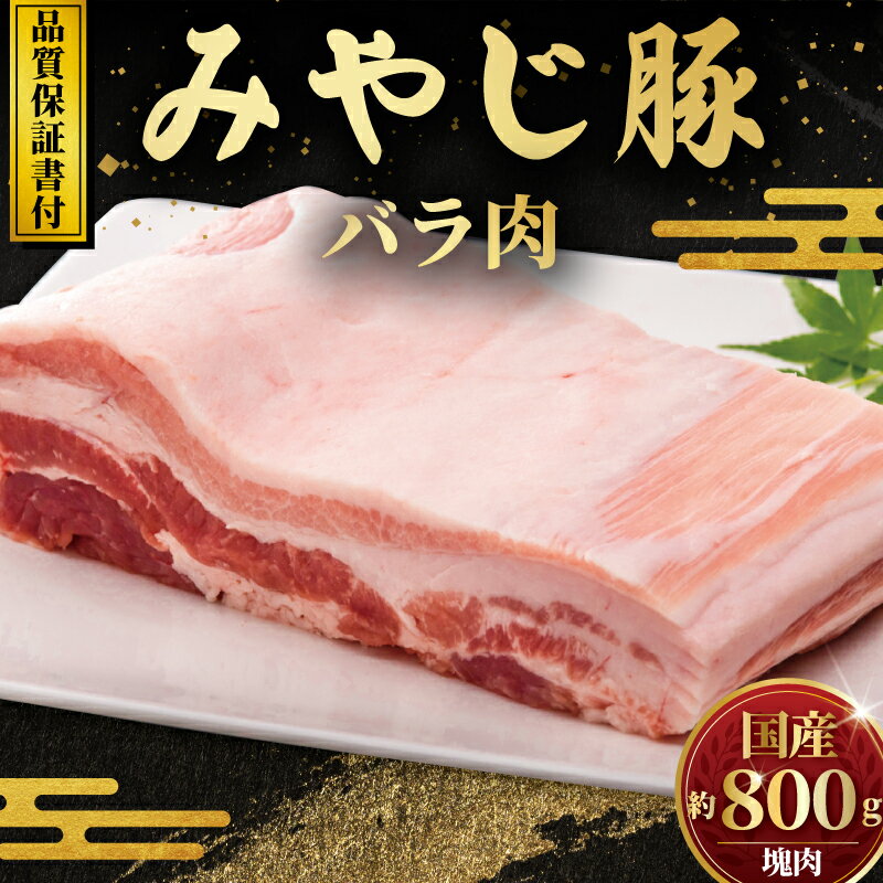 【ふるさと納税】 国産豚 ブロック バラ 塊肉 800g 焼き肉 角煮 おすすめ 希少 ブランド豚 ポーク 冷蔵 真空パック 薄切り 肉厚 バーベキュー キャンプ アウトドア お肉 にく niku 肉 豚肉 鍋 豚バラ ギフト 贈り物 贈答品 ご褒美 株式会社みやじ豚 神奈川 湘南 藤沢